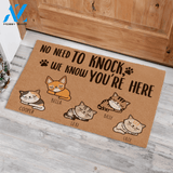 Sleeping Cat, No Need To Knock, We Know You're Here, Cat Personalized Doormat TV