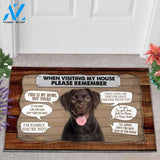 Smiling Labrador 1 Visiting My House Doormat