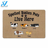 Spoiled Rotten Dogs Cats Live Here Personalized Doormat , Funny Gift ,Home Doormat ,House Warming ,Closing Gift, Funny Doormat, Welcome