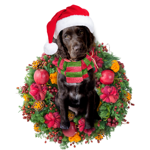 Godmerch- Ornament- Sproodle Christmas Ornament, Happy Christmas Ornament, Car Ornament