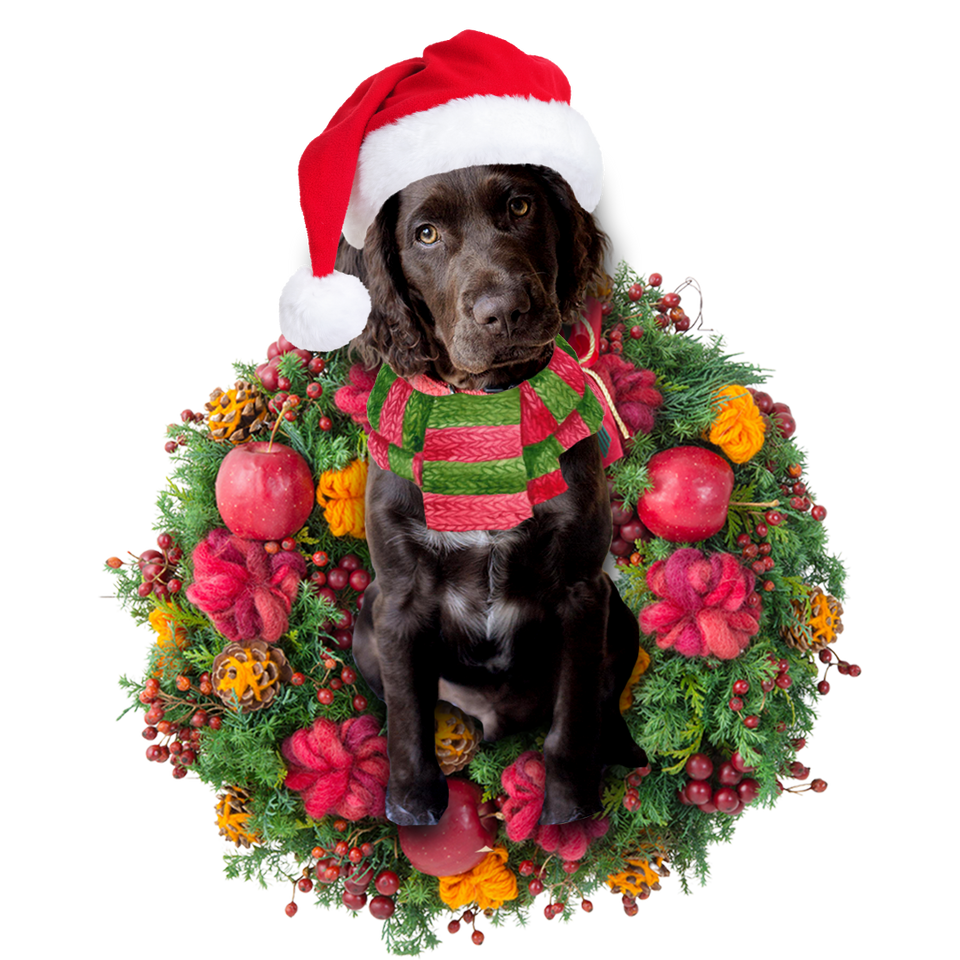 Godmerch- Ornament- Sproodle Christmas Ornament, Happy Christmas Ornament, Car Ornament