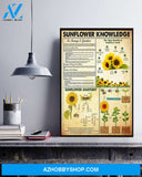 Sunflower Knowledge Canvas And Poster, Wall Decor Visual Art