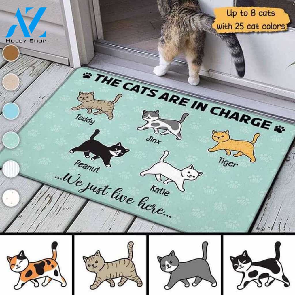 The Cat In Charge Walking Cat Personalized Doormat, Customized Doormat, Welcome Door Mat, Makes A Perfect Gift
