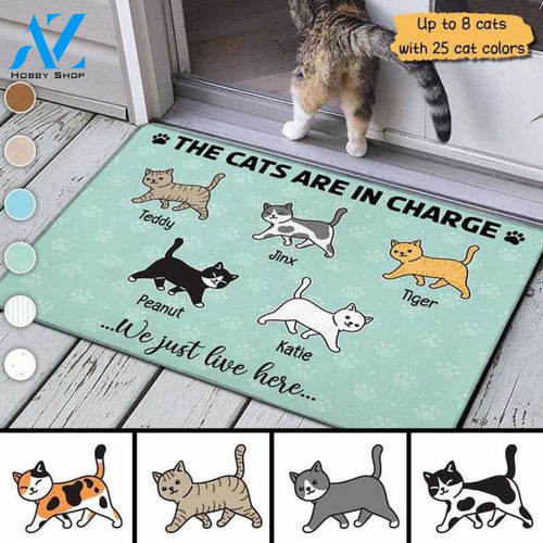 The Cat In Charge Walking Cat Personalized Doormat, Customized Doormat, Welcome Door Mat, Makes A Perfect Gift