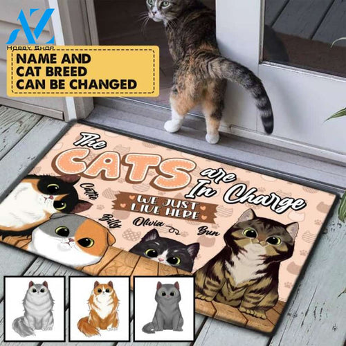 The Cats Are In Charge - Personalized Doormat