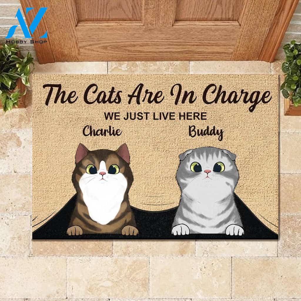 The Cats Are In Charge - Personalized Doormat 
