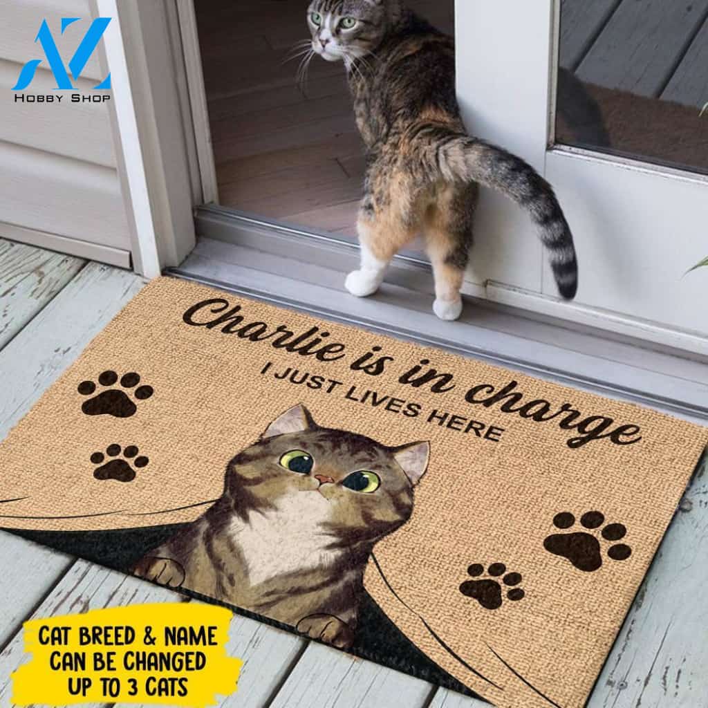 The Cats Are In Charge - Personalized Doormat 