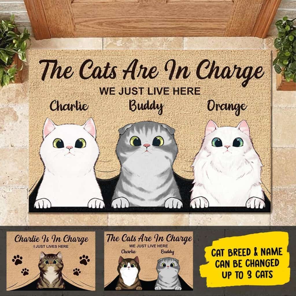 The Cats Are In Charge - Personalized Doormat Door
