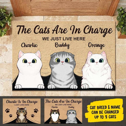 The Cats Are In Charge - Personalized Doormat Door