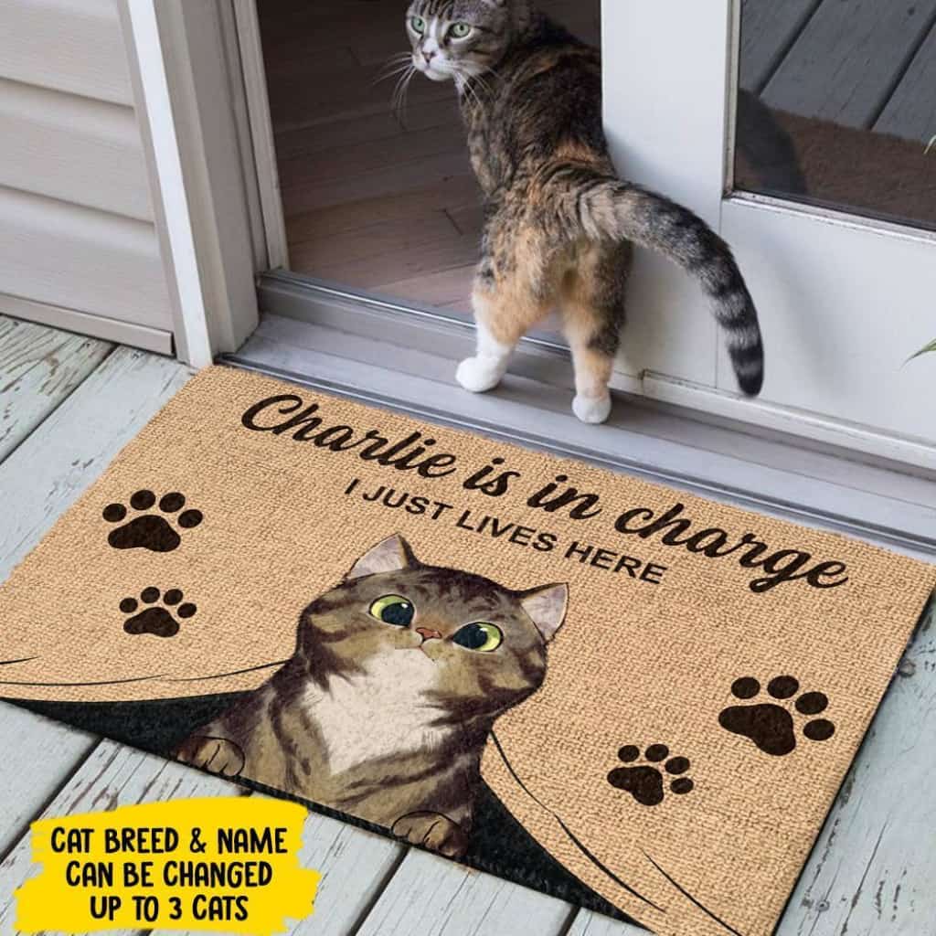 The Cats Are In Charge - Personalized Doormat Door