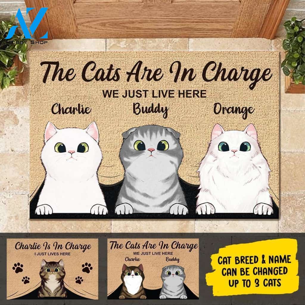 The Cats Are In Charge - Personalized Doormat | Welcome Mat | House Warming Gift