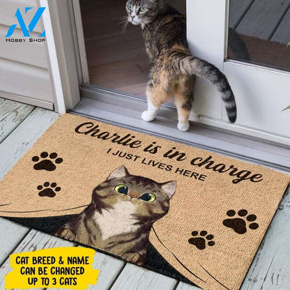 The Cats Are In Charge - Personalized Doormat | Welcome Mat | House Warming Gift