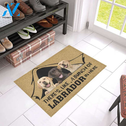 There's Like A Bunch Of Labrador In Here Printed Doormat Home Decor