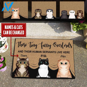 These Tiny Furry Overlords and their human servants live here Doormat | Welcome Mat | House Warming Gift