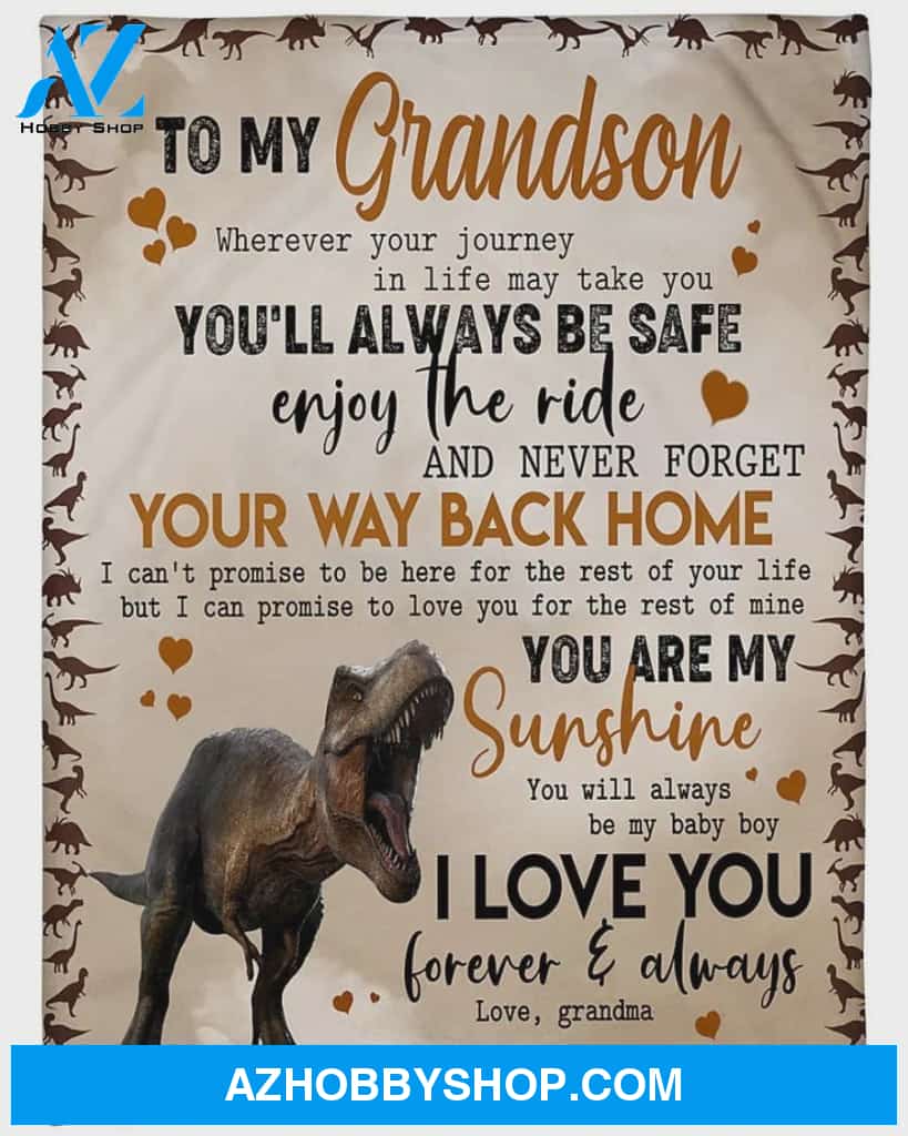 Personalized To My Grandson Dinosaur Fleece Blanket From Grandma You Are My Sunshine Great Customized Blanket For Birthday Christmas Thanksgiving