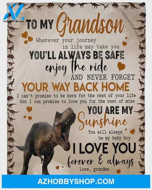 Personalized To My Grandson Dinosaur Fleece Blanket From Grandma You Are My Sunshine Great Customized Blanket For Birthday Christmas Thanksgiving