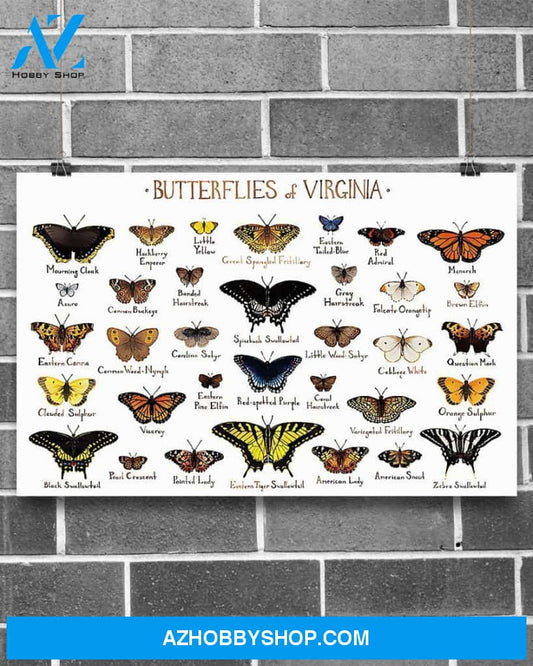 Types Of Butterflies Canvas Wall Art, Wall Decor Visual Art