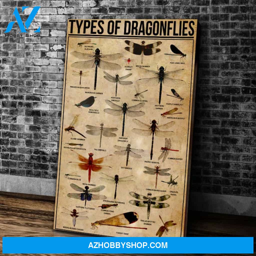 Types Of Dragonflies Matte Canvas