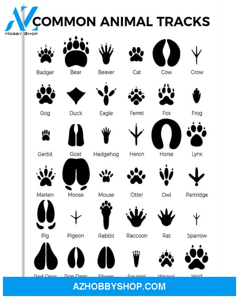 Veterinarians Common Animal Tracks Vertical Canvas Wall Art, Wall Decor Visual Art