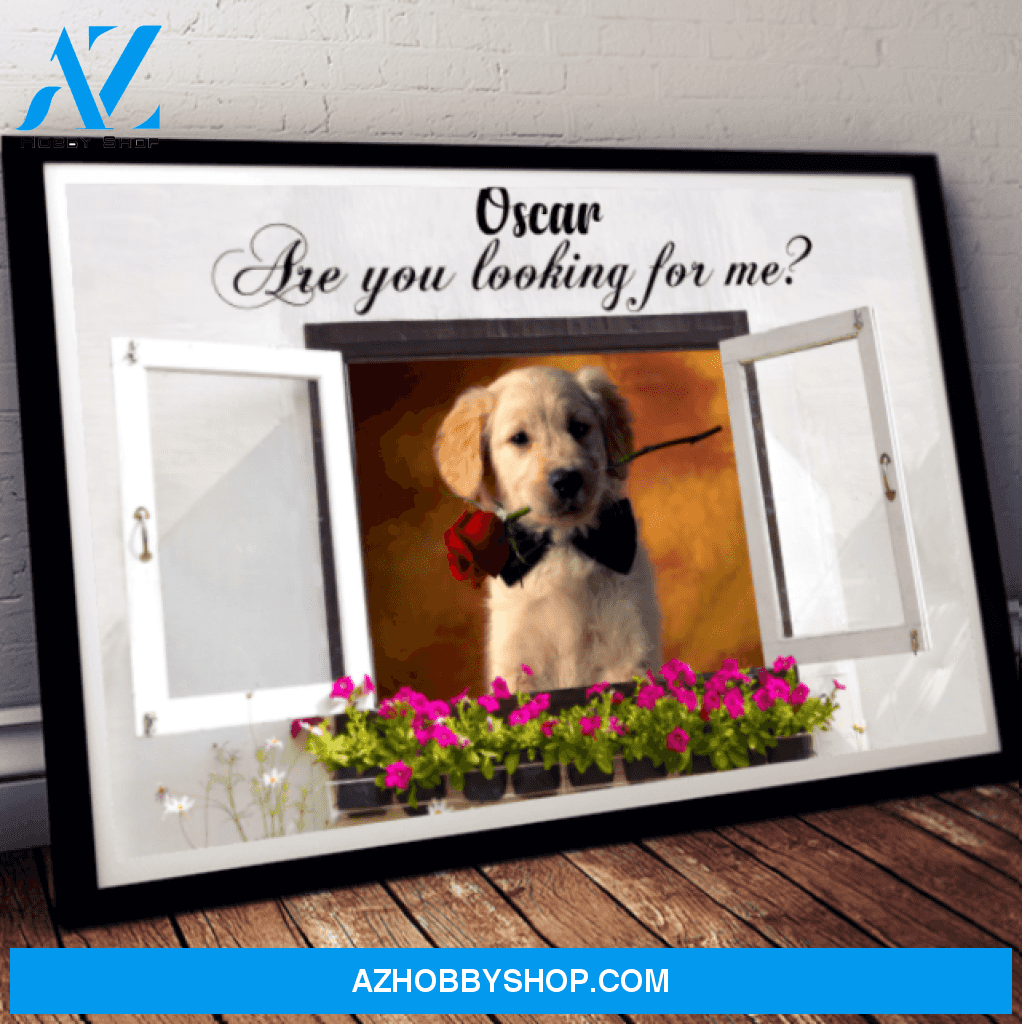 VHH 11 Pet Lovers Are You Looking For Me Personalized Poster Landscape