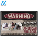 Warning -American Bulldog Doormat This Property Is Protected Indoor And Outdoor Doormat Warm House Gift Welcome Mat Gift For American Bulldog Lovers