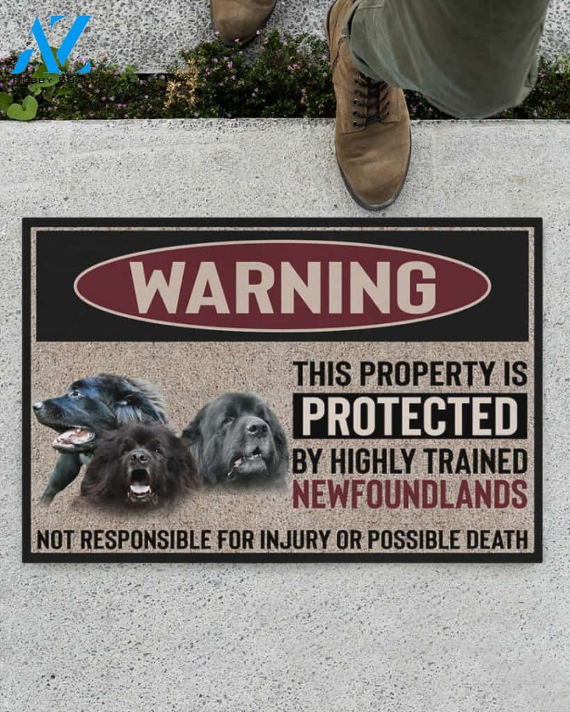 Warning - Newfoundland Doormat This Property Is Protected Indoor And Outdoor Doormat Warm House Gift Welcome Mat Gift For Newfoundland Dog Lovers