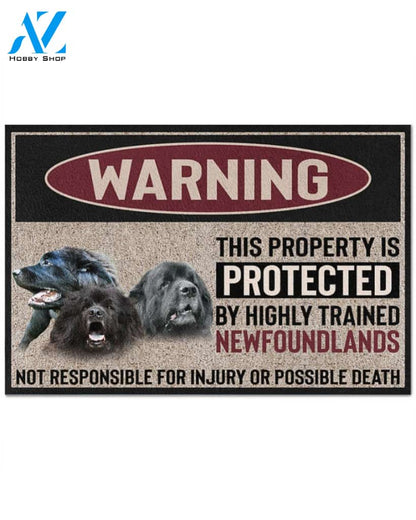 Warning - Newfoundland Doormat This Property Is Protected Indoor And Outdoor Doormat Warm House Gift Welcome Mat Gift For Newfoundland Dog Lovers