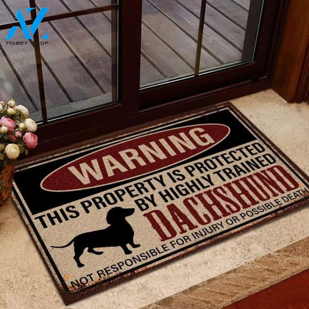 Warning This Property Is Protected By Dachshund Funny Indoor And Outdoor Doormat Warm House Gift Welcome Mat Birthday Gift For Dog Lovers