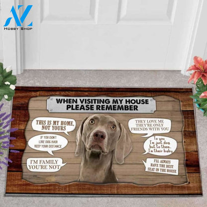 Weimar hound Visiting My House Doormat