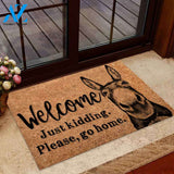 Welcome Just Kidding Please Go Home Doormat Welcome Mat Housewarming Gift Home Decor Funny Doormat Gift For Donkey Lovers Birthday Gift