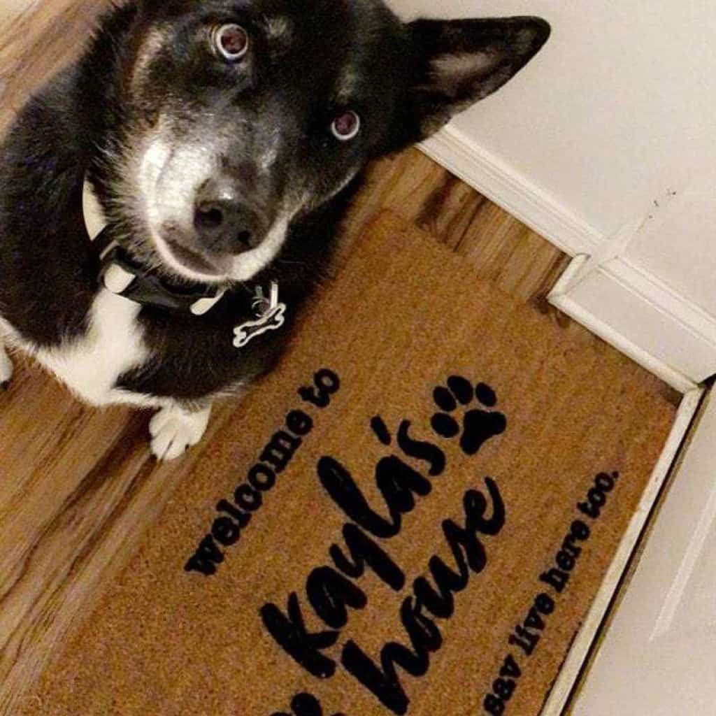 Welcome To Dog House Doormat, Dog Lover Gift, Non-slip Welcome Mats