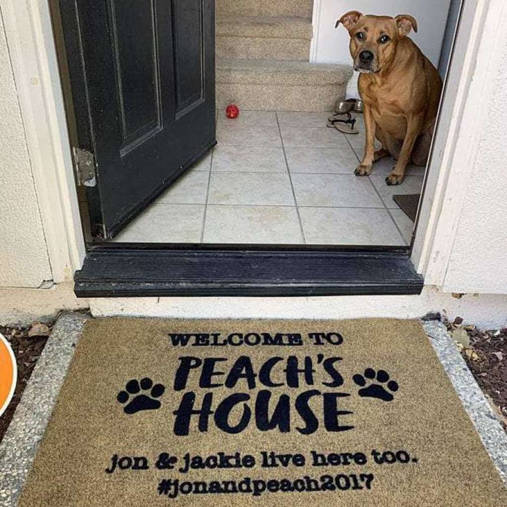 Welcome To Dog House Doormat, Dog Lover Gift, Non-slip Welcome Mats