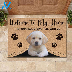 Welcome To My Home Funny Labrador Retriever 1 Mat | Welcome Mat | House Warming Gift
