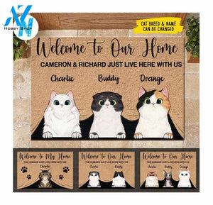 Welcome To Our Home Custom Cat Name Doormat,Rug,Custom Family Name Doormat,Welcome Doormat,Welcome Rugs,Doormat Outdoor,Home Decor Accessory
