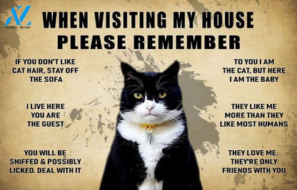 When Visiting House Please Remember Cat Is Baby Doormat Indoor And Outdoor Mat Entrance Rug Sweet Home Decor Housewarming Gift Gift For Friend Family Stem Feminist