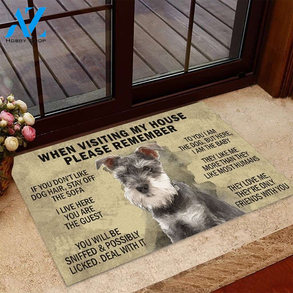 When Visiting House Please Remember Indoor and Outdoor Doormat Warm House Gift Welcome Mat Gift for Labrador Lovers Birthday Gift