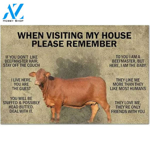 When Visiting My House | Cow Doormat, Cow Lover Mat, Gift For Farmer, Farmhouse Mat Decor, Farm Life Doormat