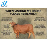 When Visiting My House | Cow Doormat, Cow Lover Mat, Gift For Farmer, Farmhouse Mat Decor, Farm Life Doormat