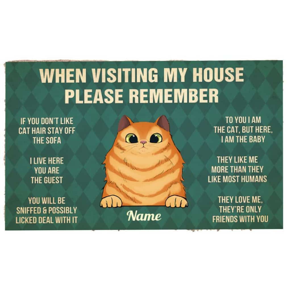 When Visiting My House Please Remember Cat Rules Personalized Doormat
