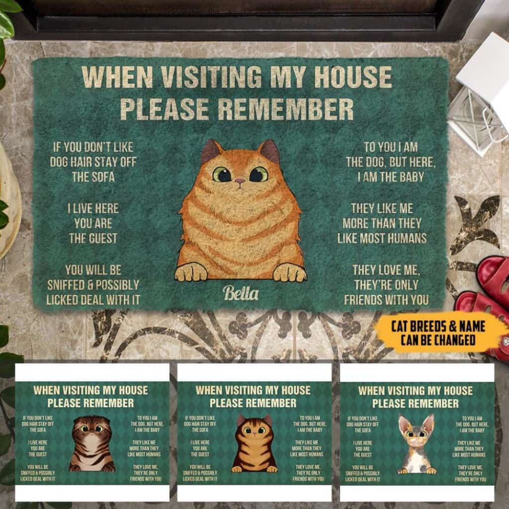 When Visiting My House Please Remember Cat Rules Personalized Doormat