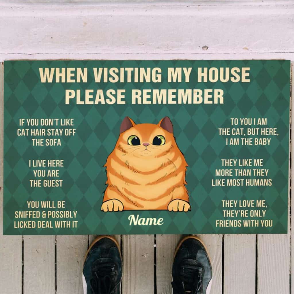 When Visiting My House Please Remember Cat Rules Personalized Doormat