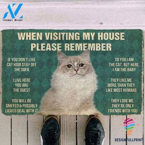 When Visiting My House Please Remember Cat Welcome Doormat NHD Gifts For Cat Owners