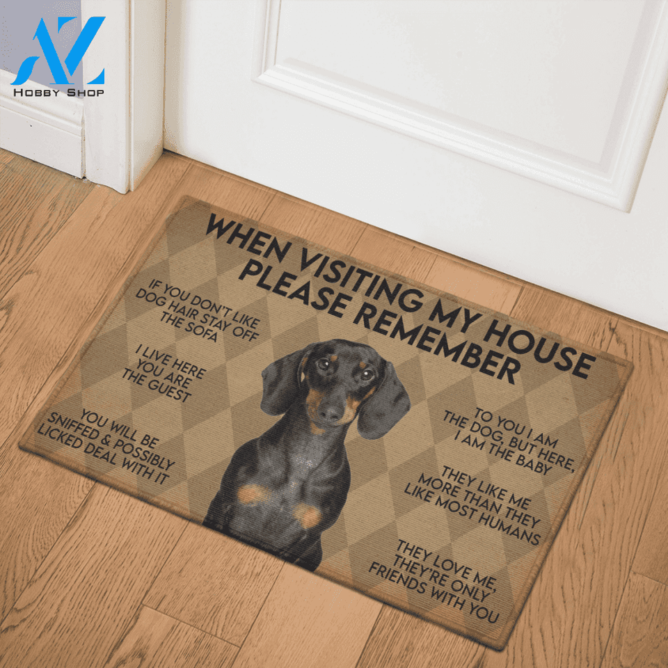 WHEN VISITING MY HOUSE PLEASE REMEMBER DACHSHUND DOG Indoor And Outdoor Doormat Warm House Gift Welcome Mat Gift For Dachshund Lovers