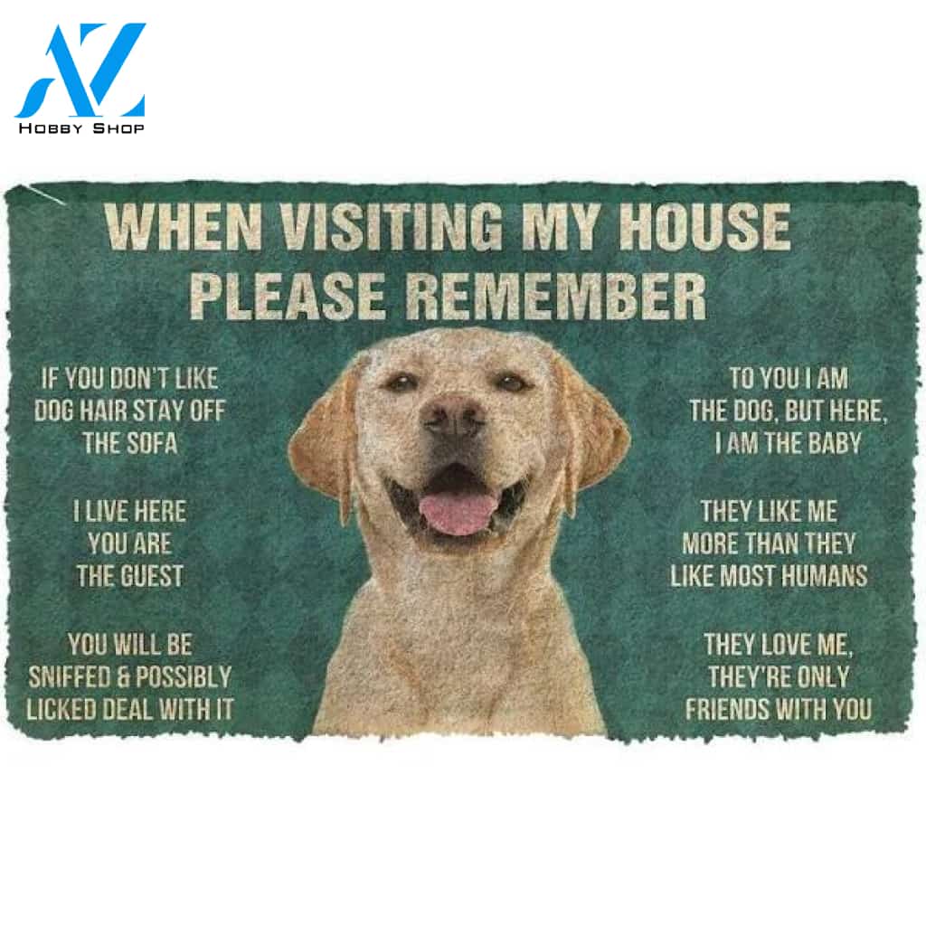 When Visiting My House Please Remember Dog's House Rules Labrador Retriever Doormat Indoor and Outdoor Doormat Warm House Gift Welcome Mat Gift for Dog Lovers Birthday Gift
