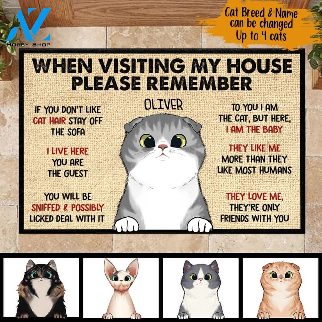 When Visiting My House Please Remember - Funny Personalized Cat Doormat 