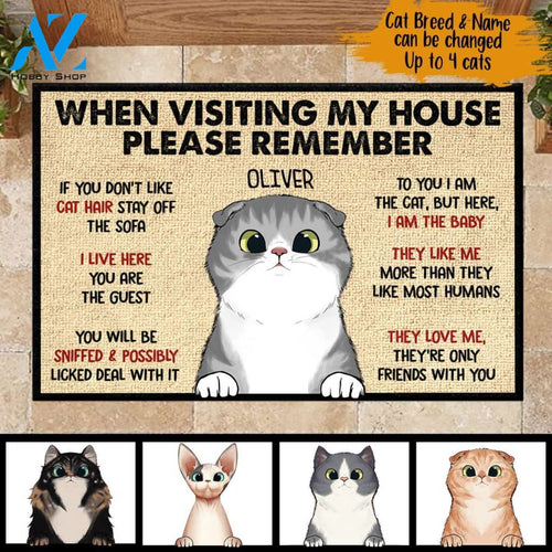When Visiting My House Please Remember - Funny Personalized Cat Doormat 