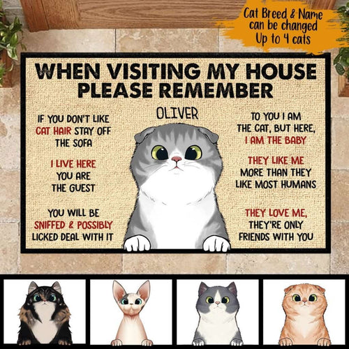 When Visiting My House Please Remember - Funny Personalized Cat Doormat Door