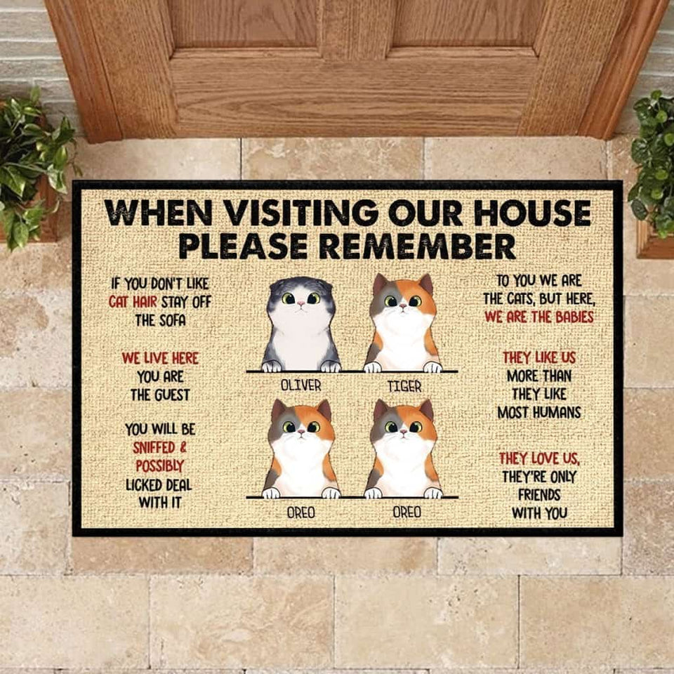 When Visiting My House Please Remember - Funny Personalized Cat Doormat Door