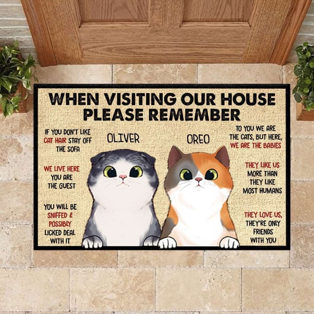 When Visiting My House Please Remember - Funny Personalized Cat Doormat Door