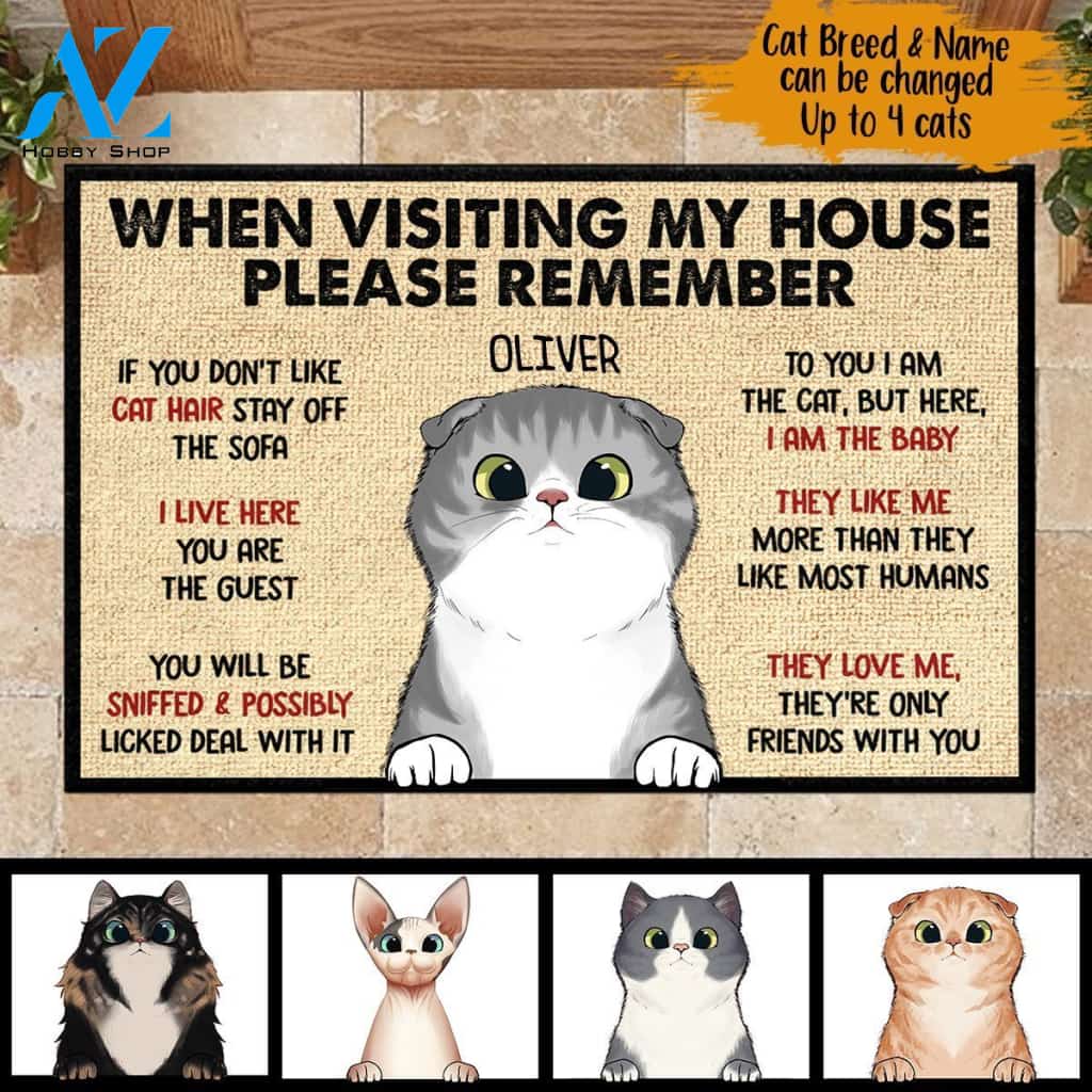 When Visiting My House Please Remember - Funny Personalized Cat Doormat | Welcome Mat | House Warming Gift